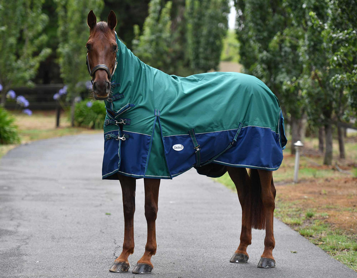 Eclipse Rainsheet Combo Horse Rug