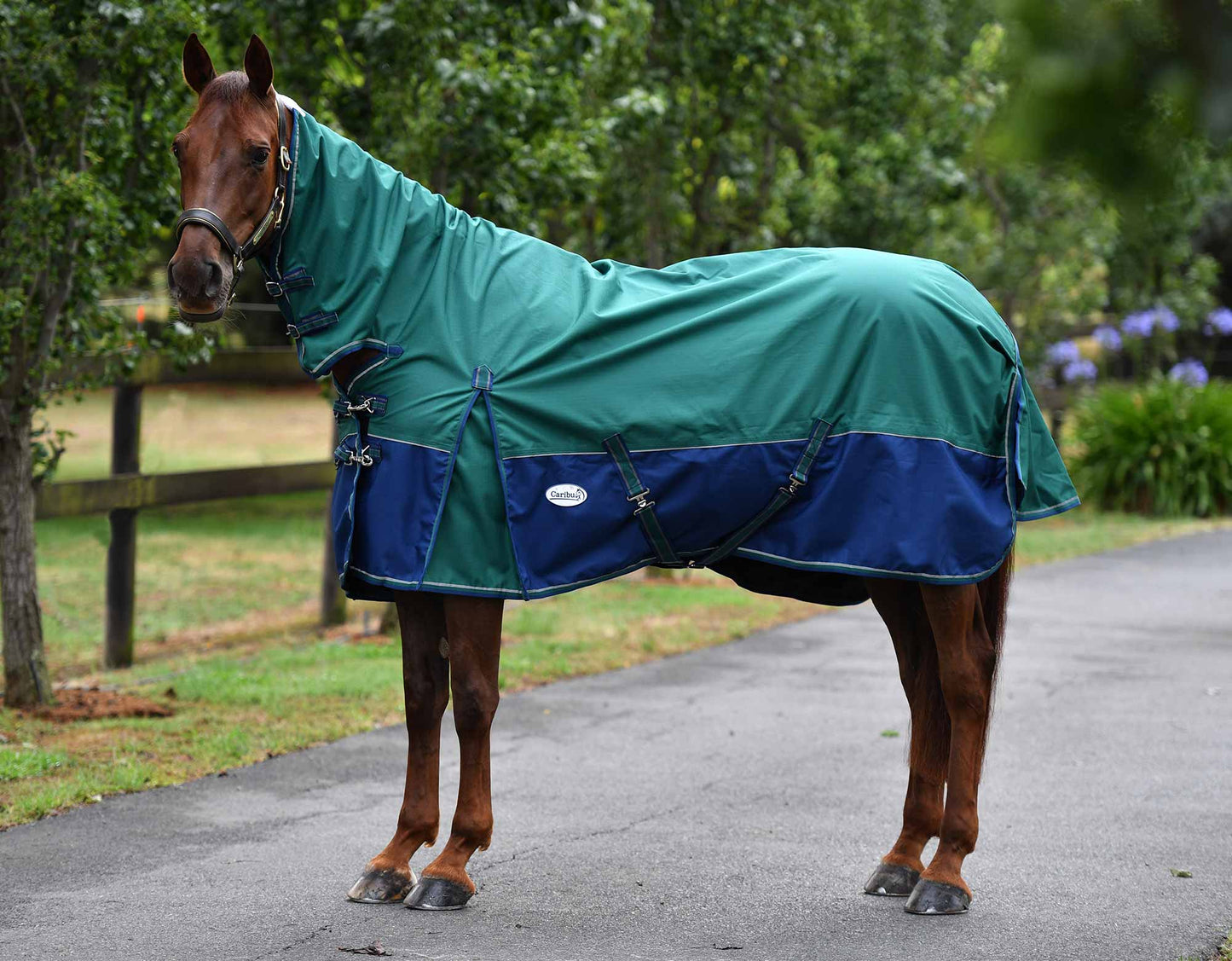 Eclipse Rainsheet Combo Horse Rug