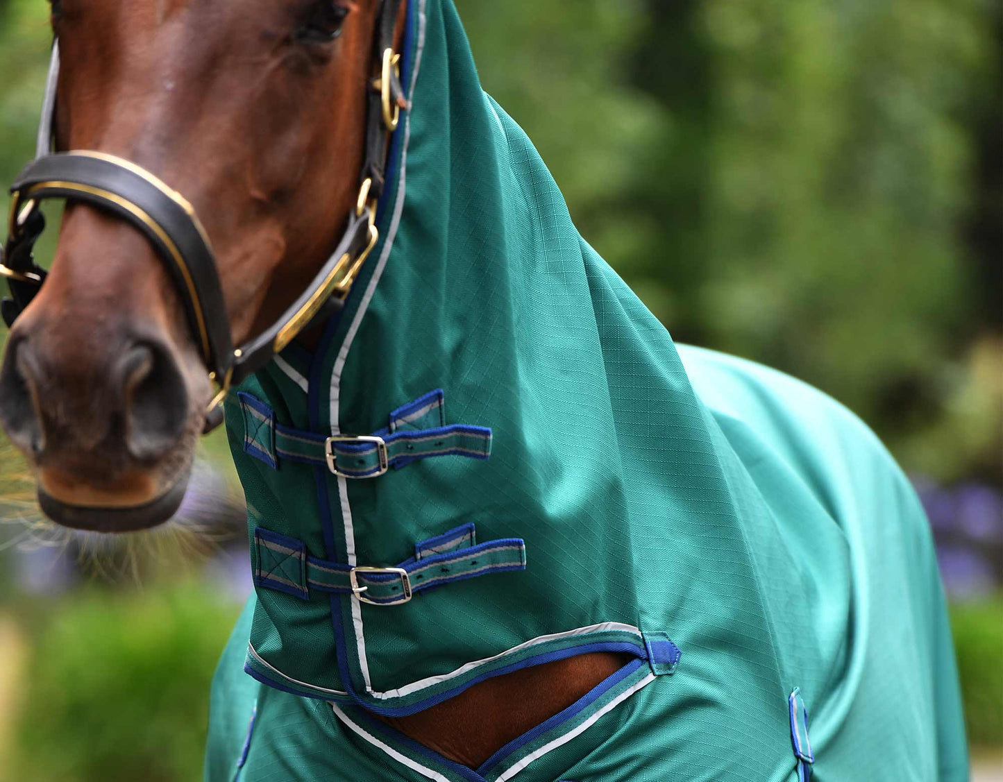 Eclipse Rainsheet Combo Horse Rug