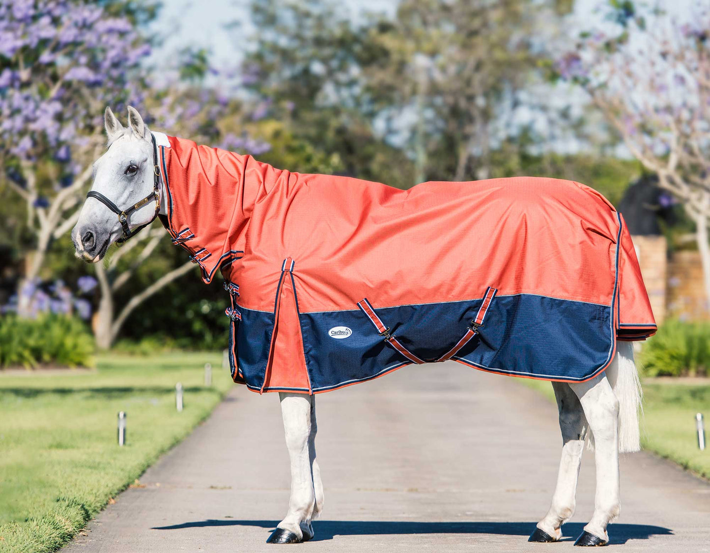 Eclipse Rainsheet Combo Horse Rug
