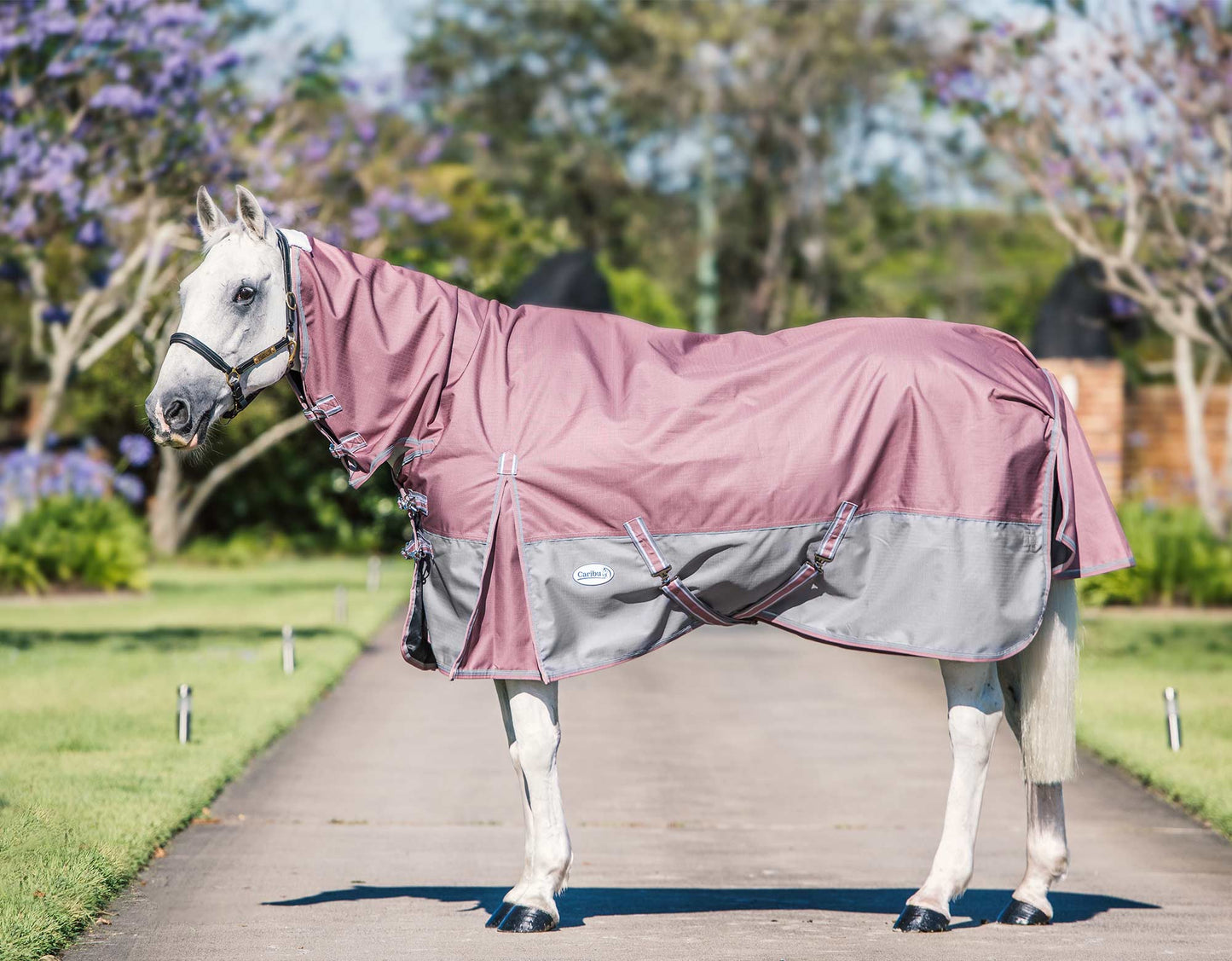 Eclipse Rainsheet Combo Horse Rug