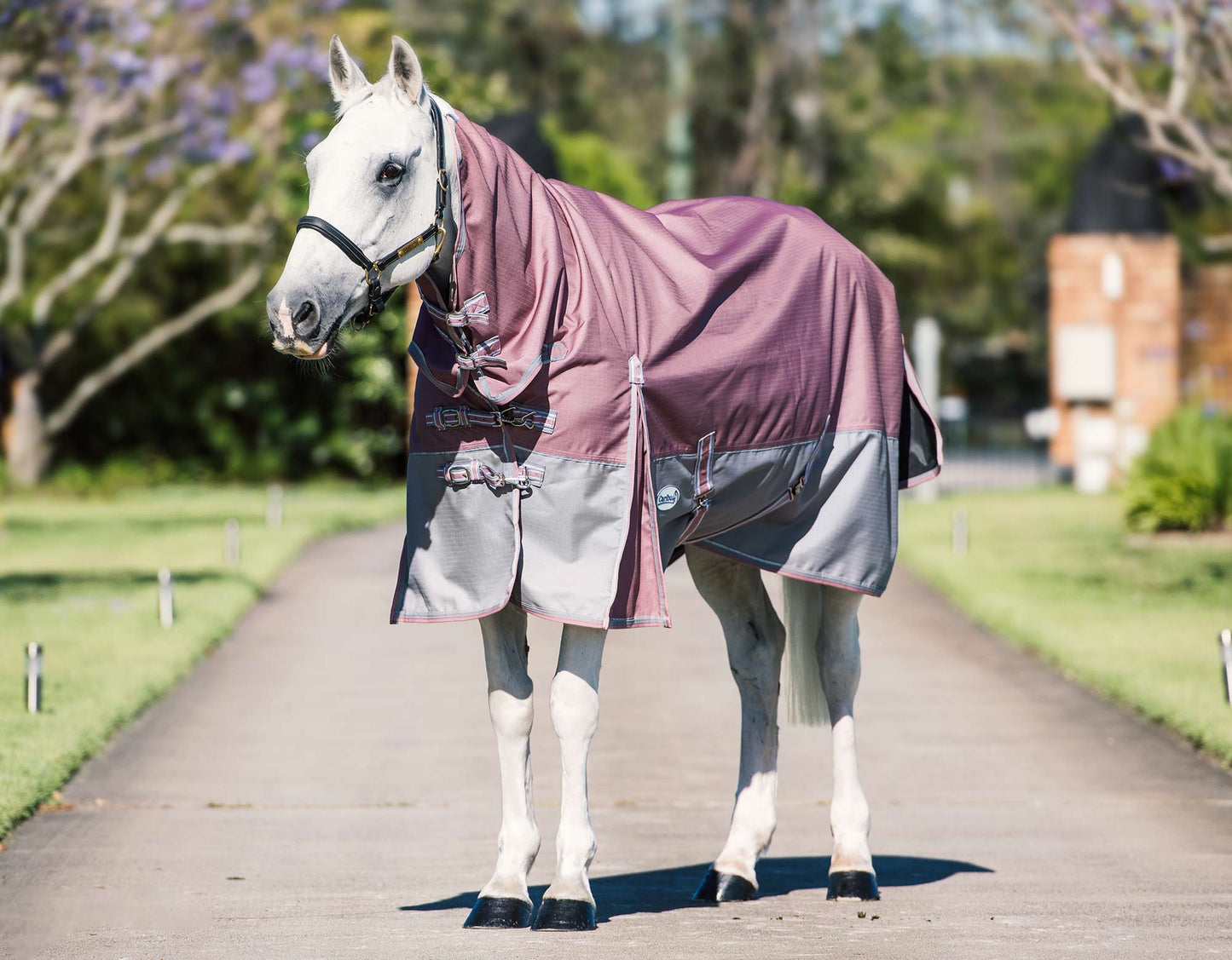 Eclipse Rainsheet Combo Horse Rug