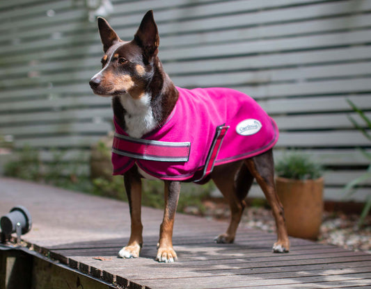 Polar Fleece Dog Coat