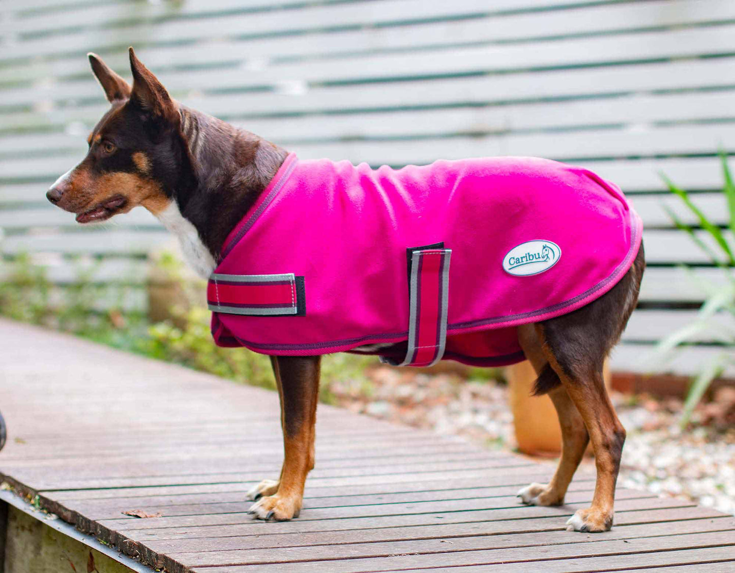Polar Fleece Dog Coat
