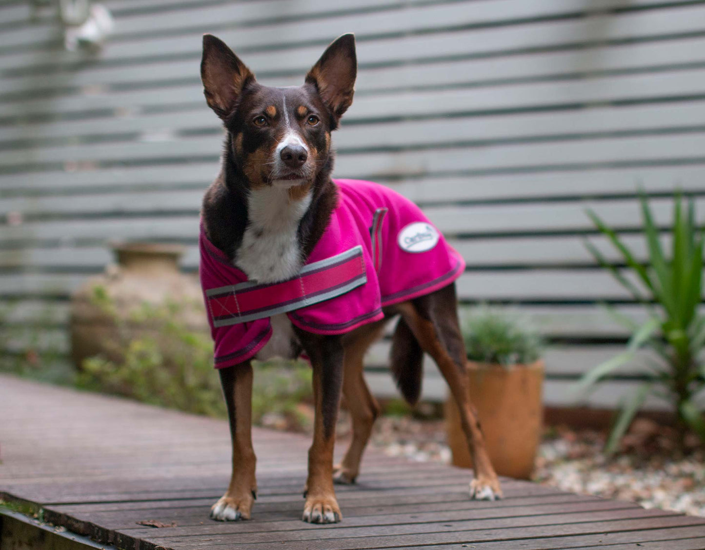 Polar Fleece Dog Coat