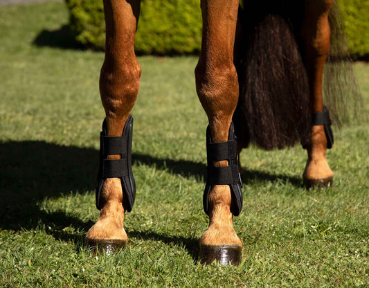 Tendon Boots with Hook & Loop Fixings