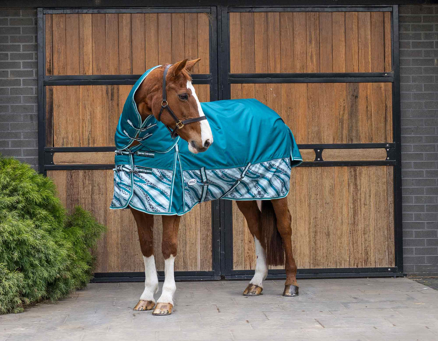 Caribu Colorado Detach-a-Neck Horse Rug 250g