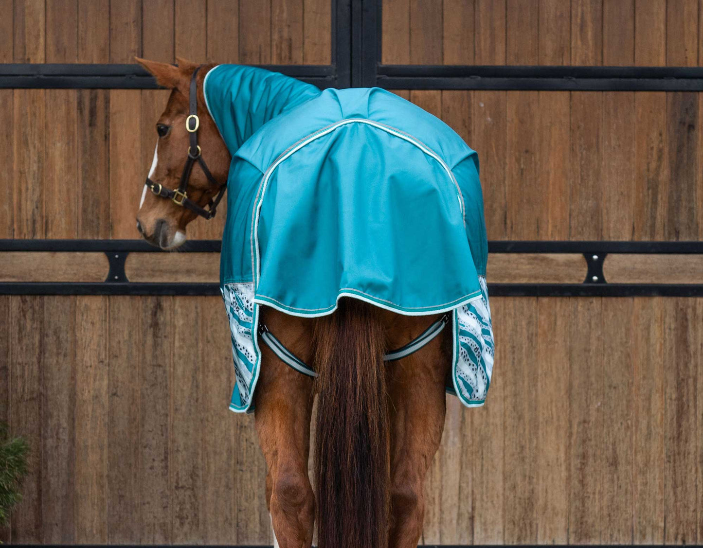 Caribu Colorado Detach-a-Neck Horse Rug 250g