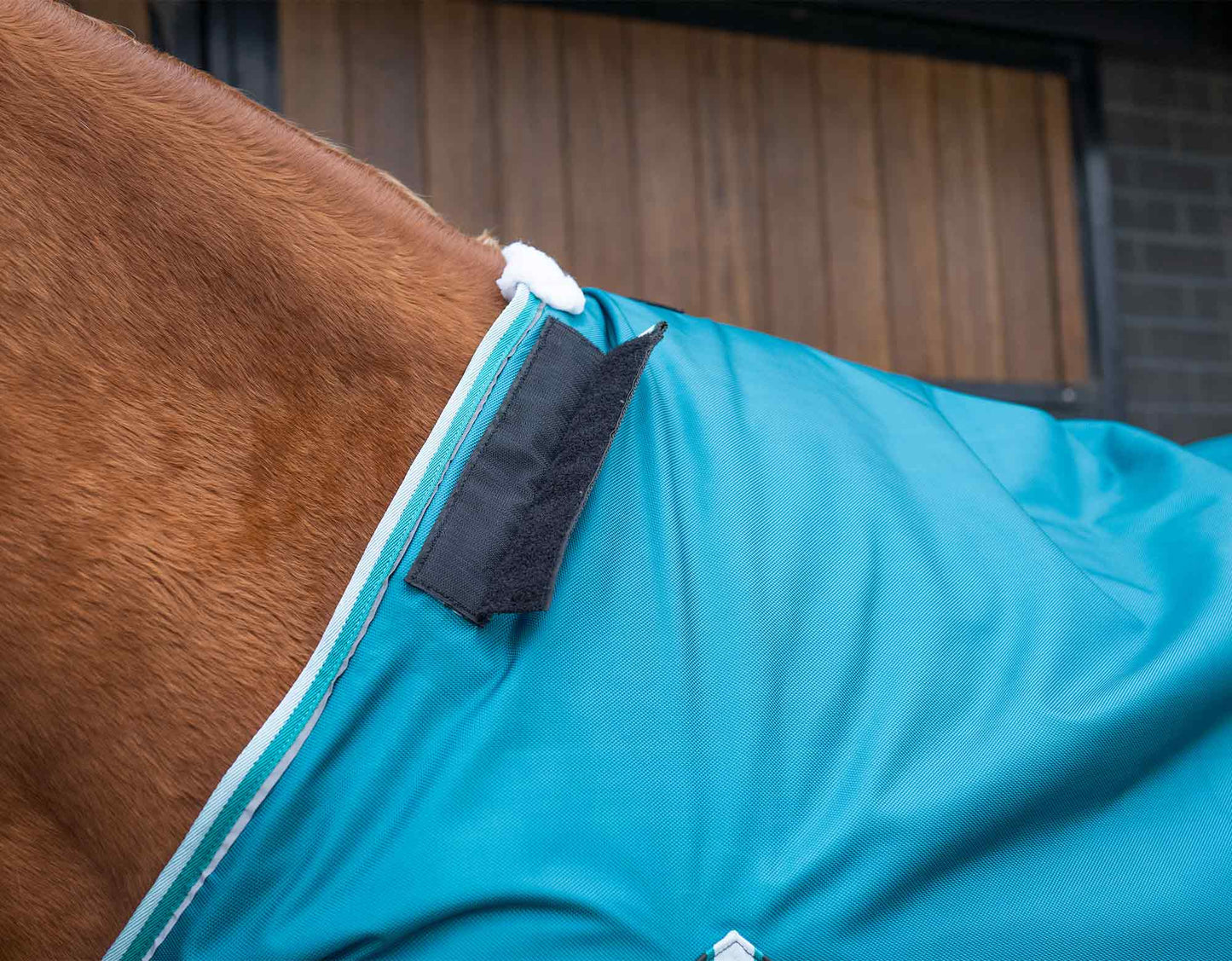 Caribu Colorado Detach-a-Neck Horse Rug 250g