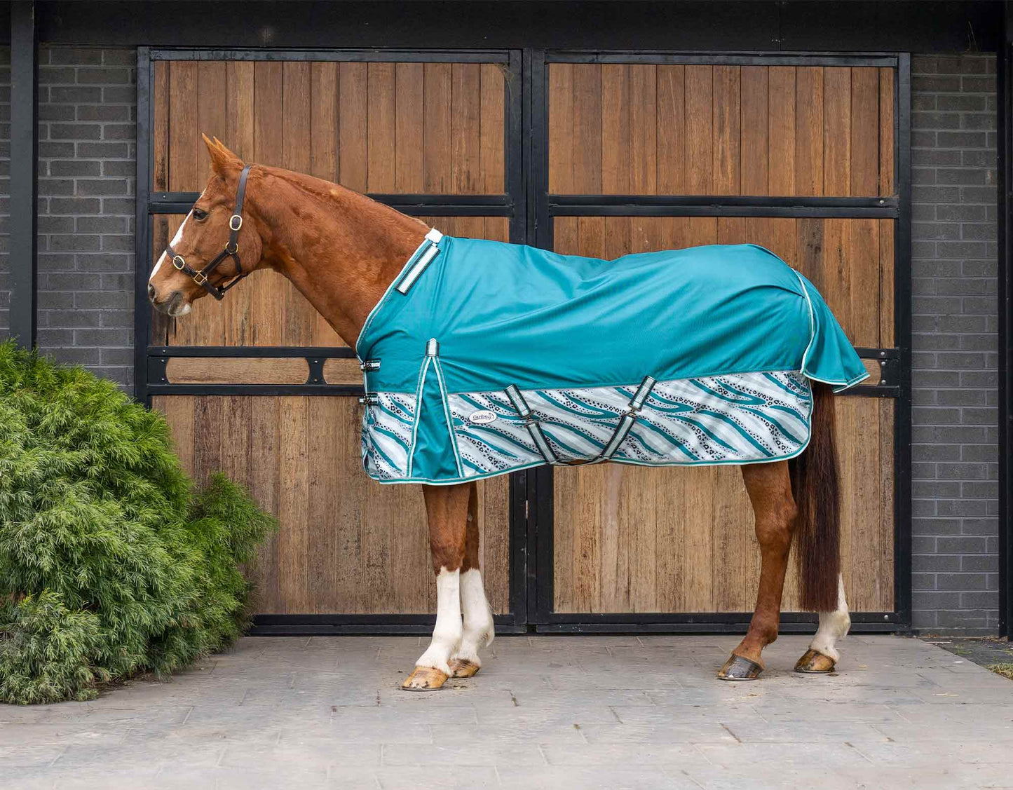 Caribu Colorado Detach-a-Neck Horse Rug 250g