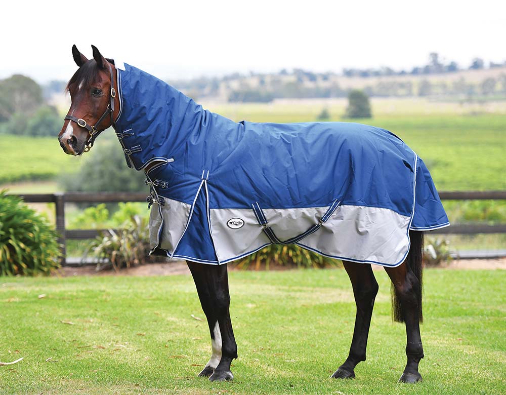 Eclipse Rainsheet Combo Horse Rug